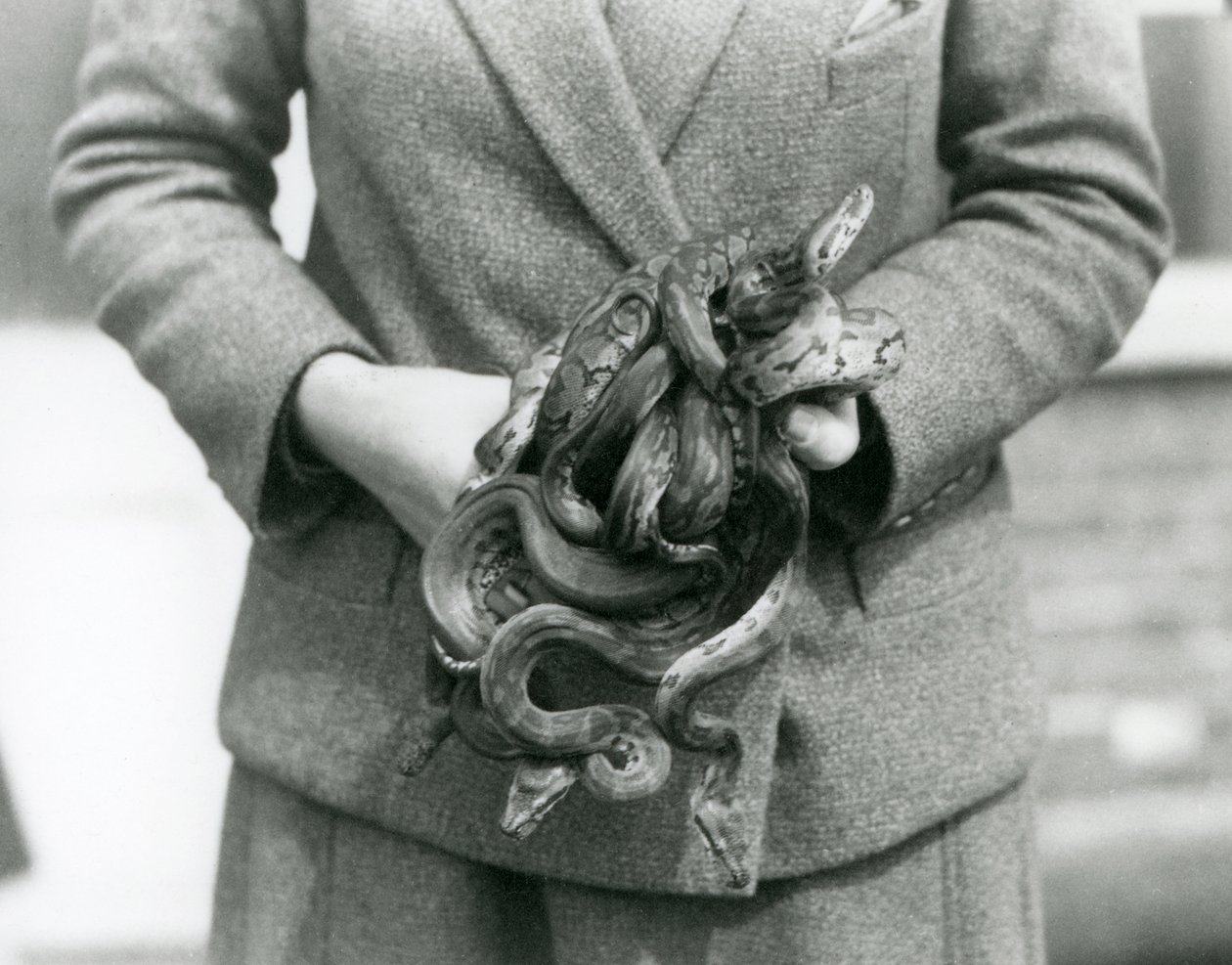 1931