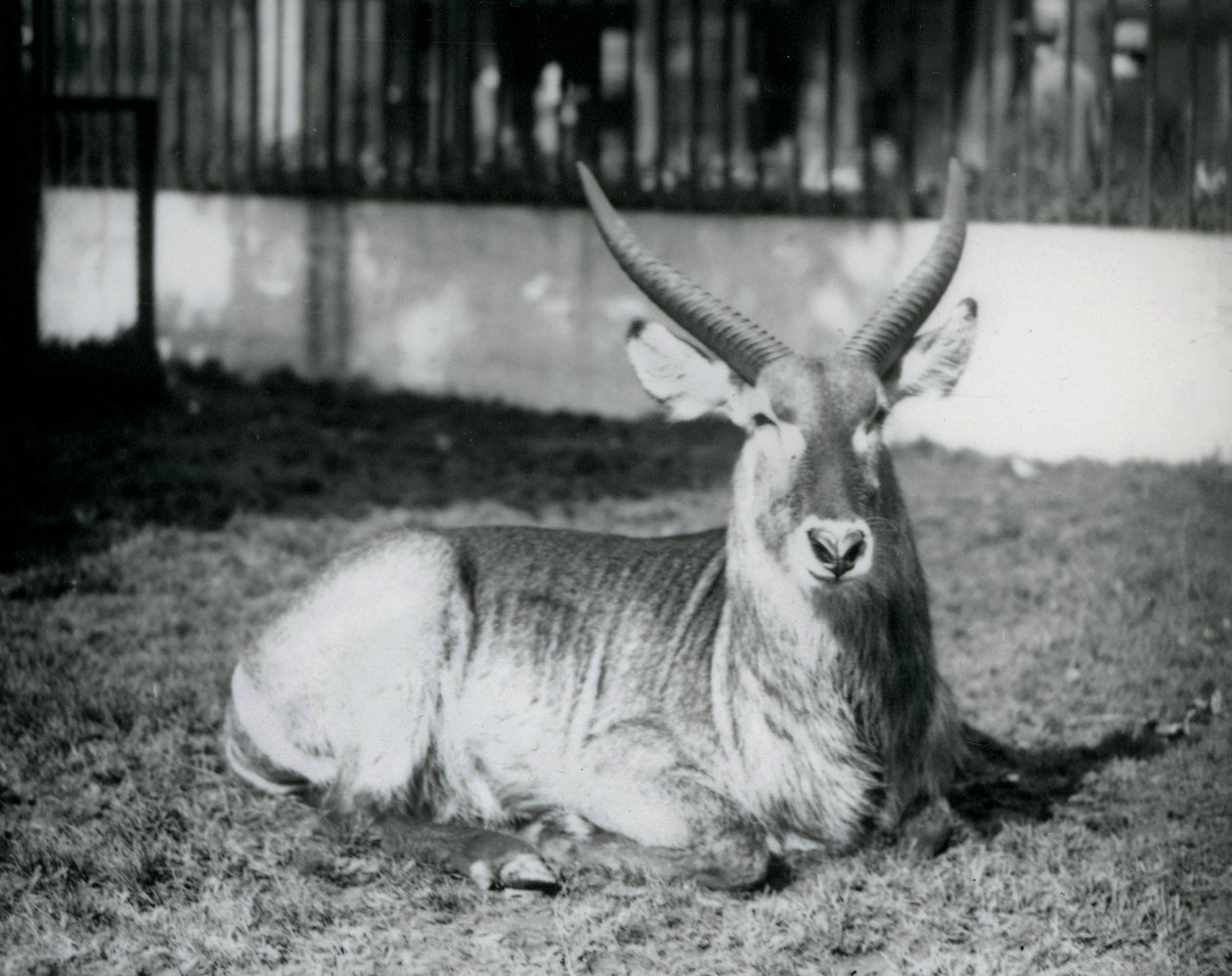 1928
