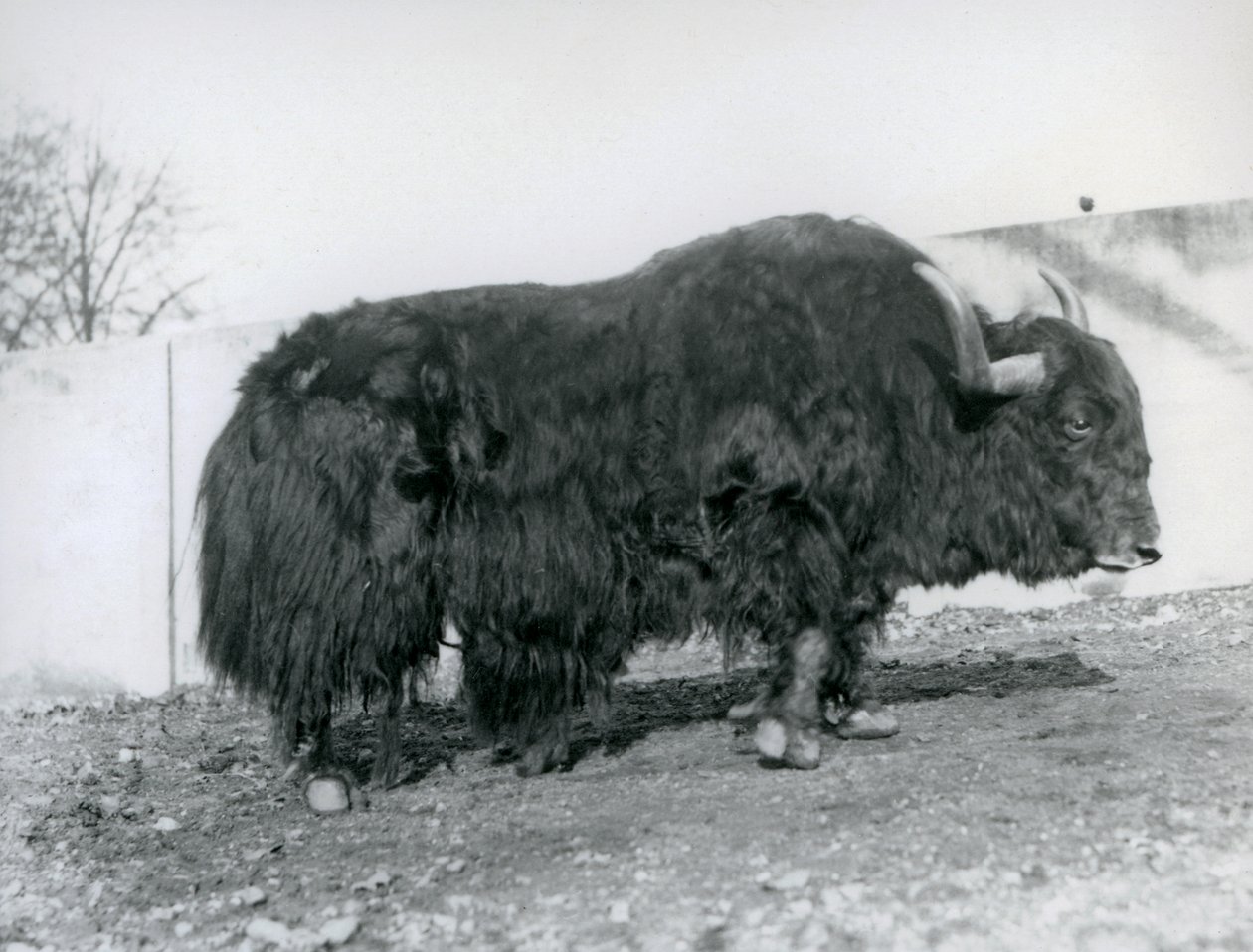 1928