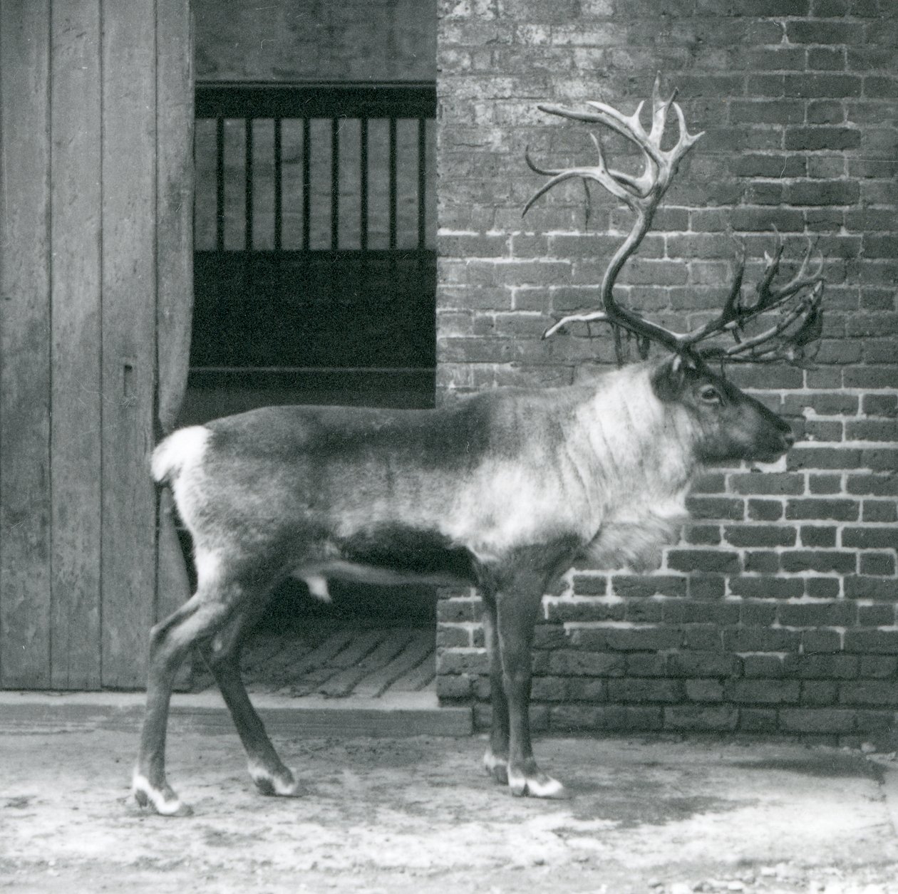 1925