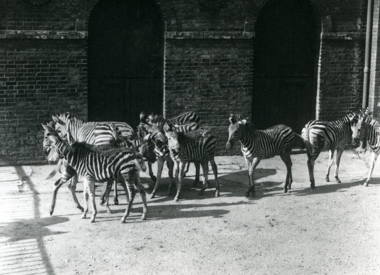 1924