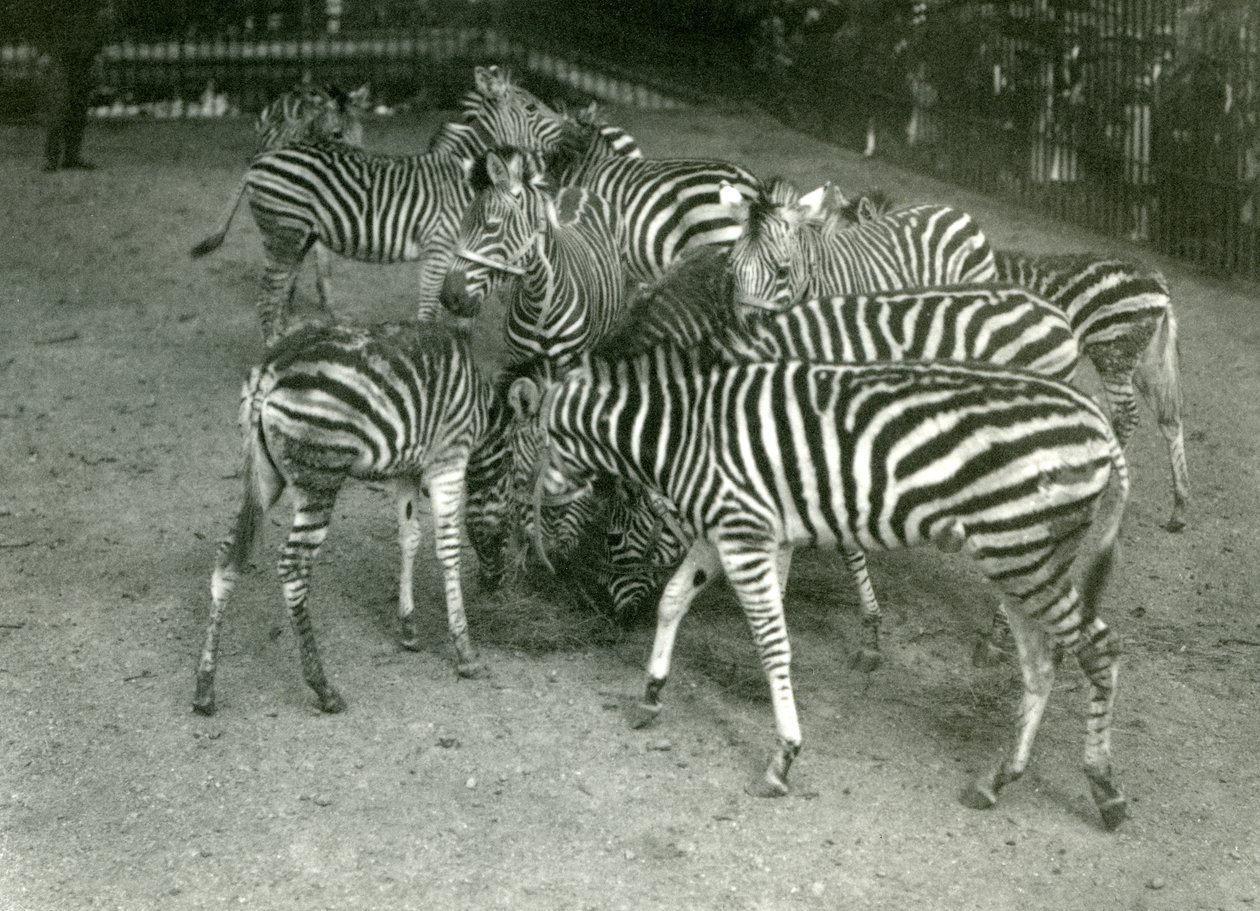 1923