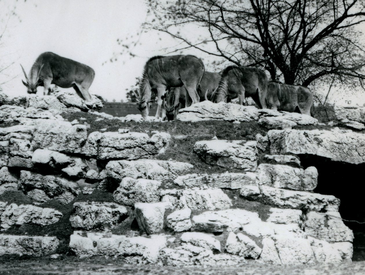 Haziran 1925