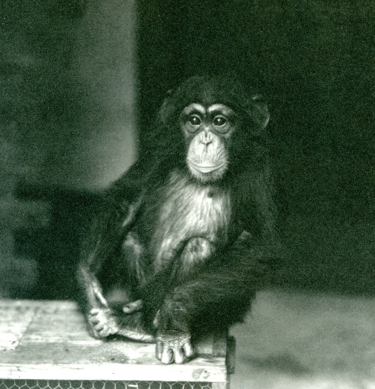 1924