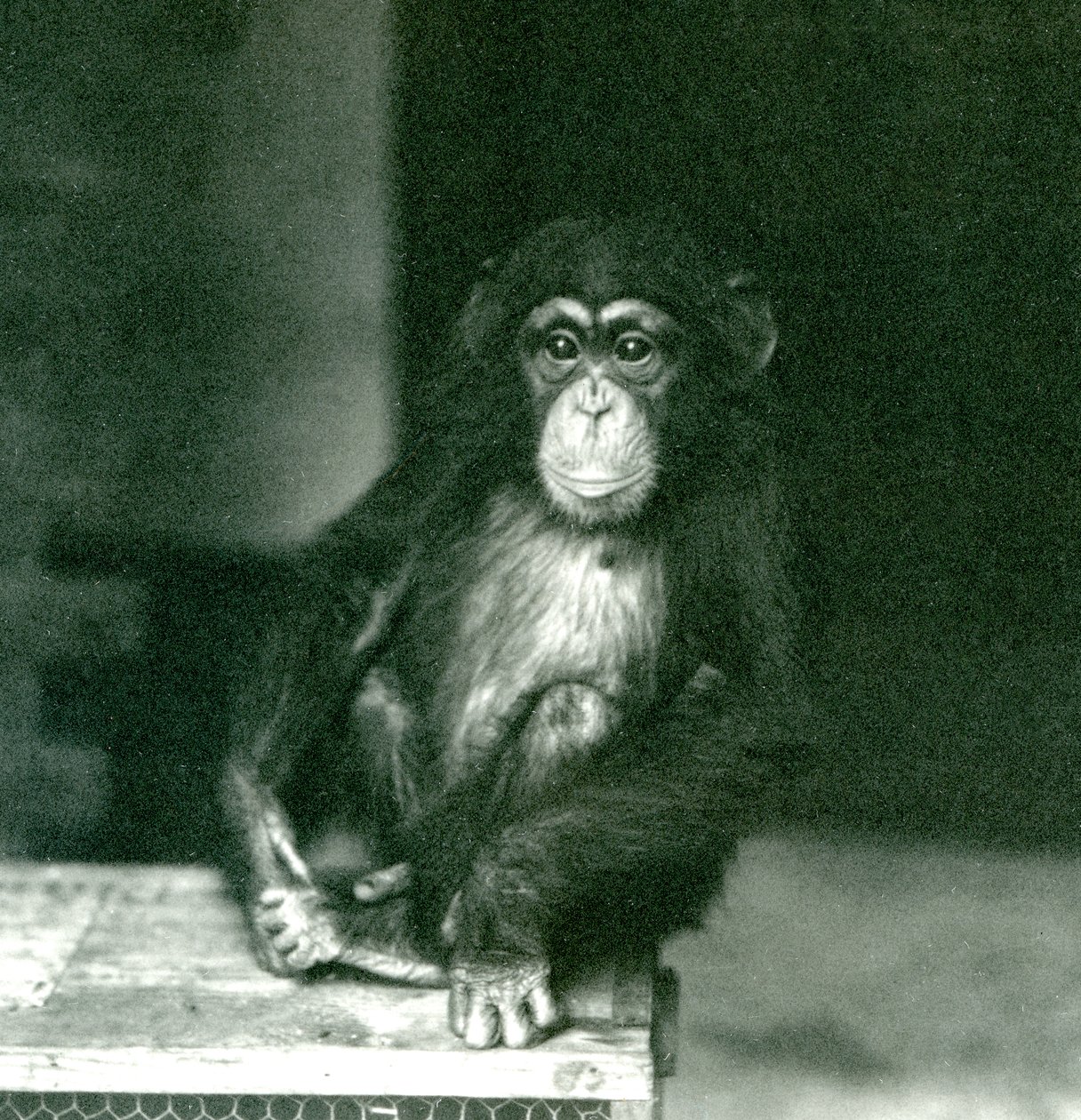 1924