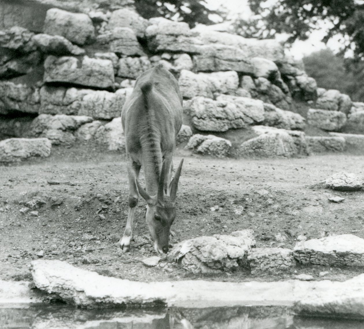 1929