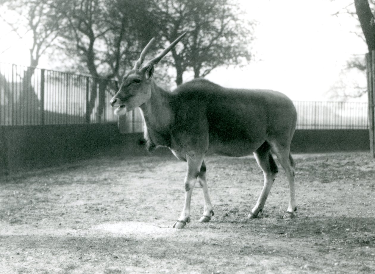 Haziran 1925