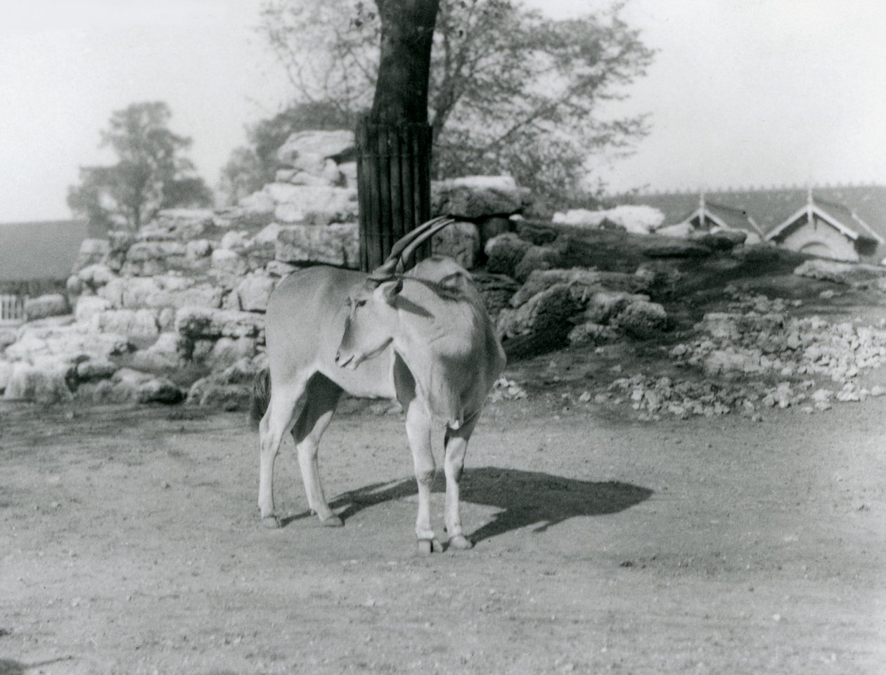 1929