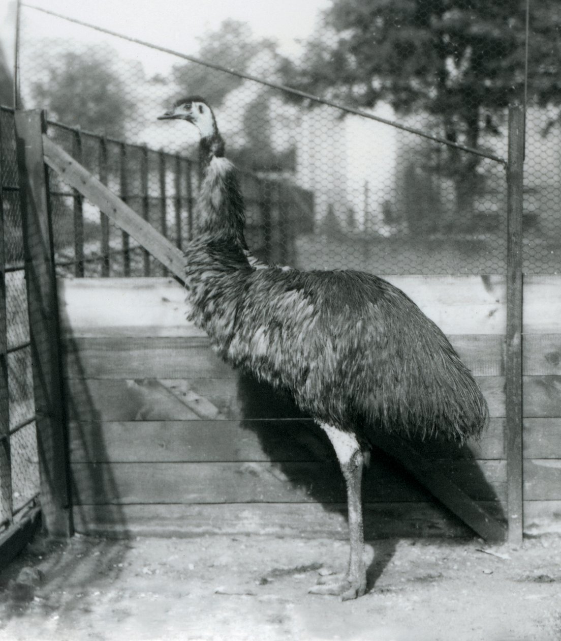 Eylül 1927