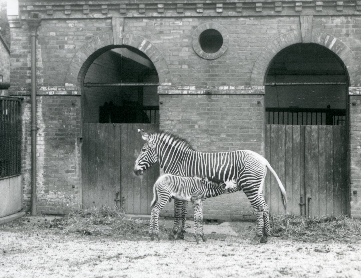 1927