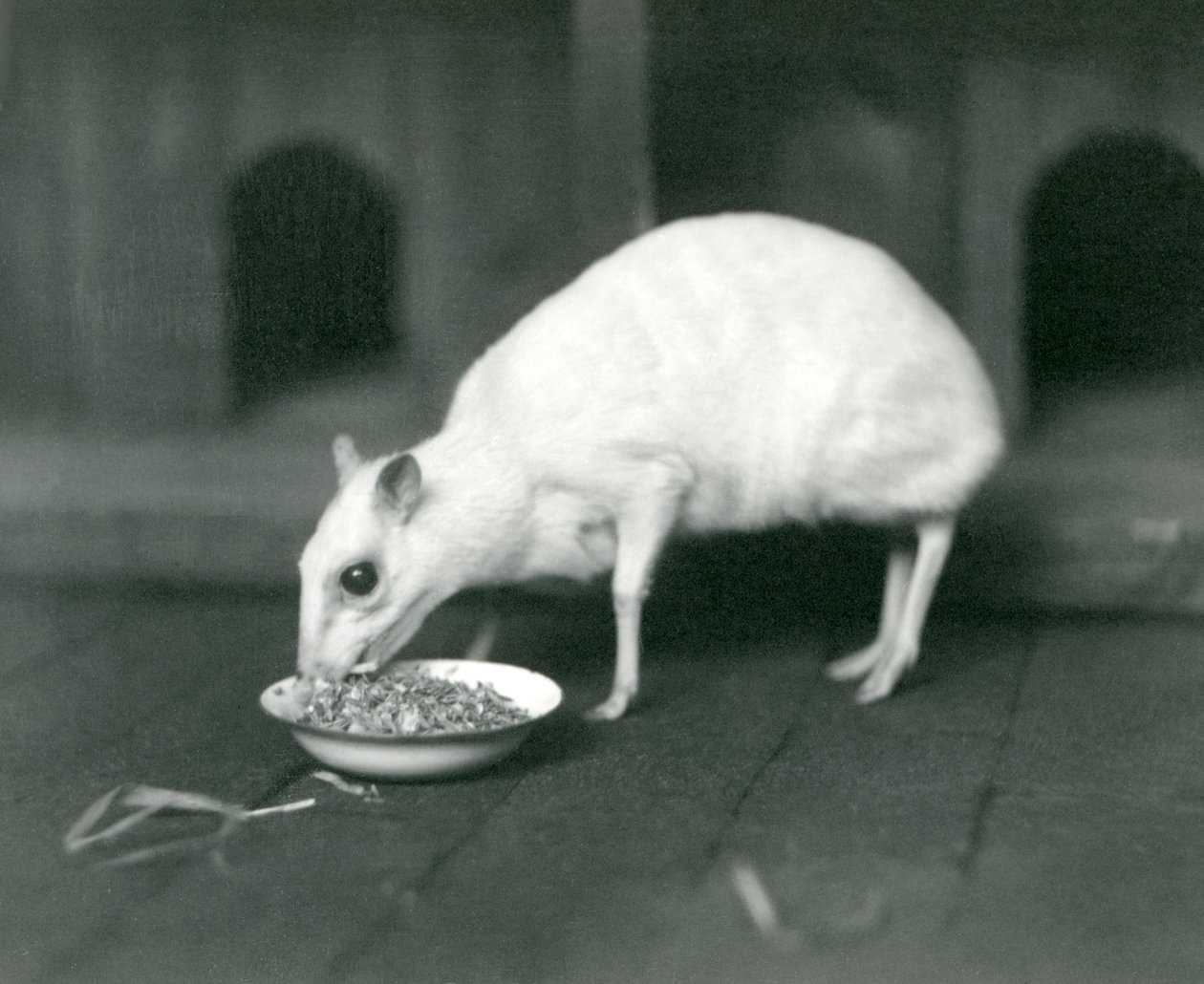 1926