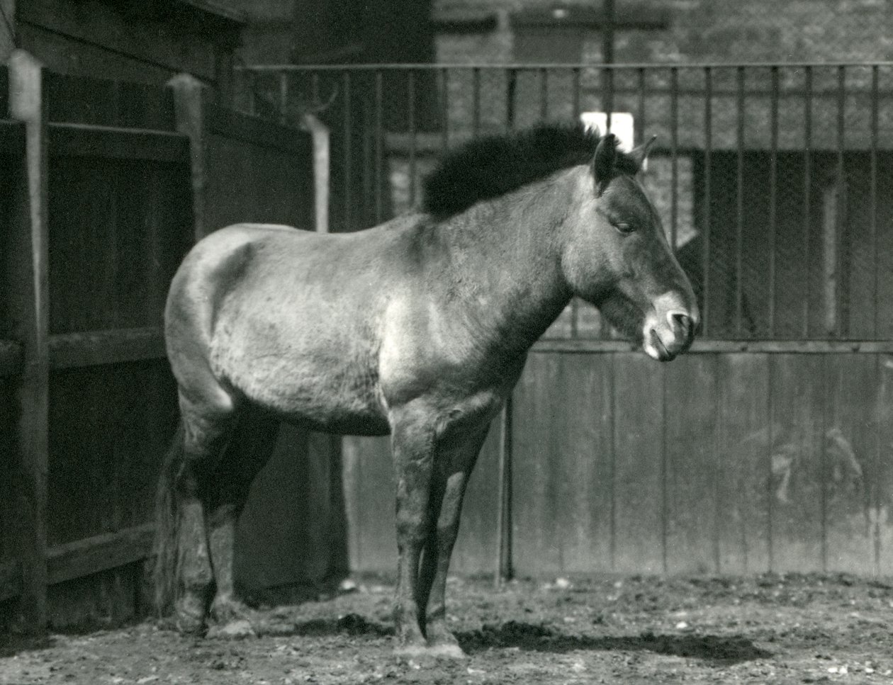 1927