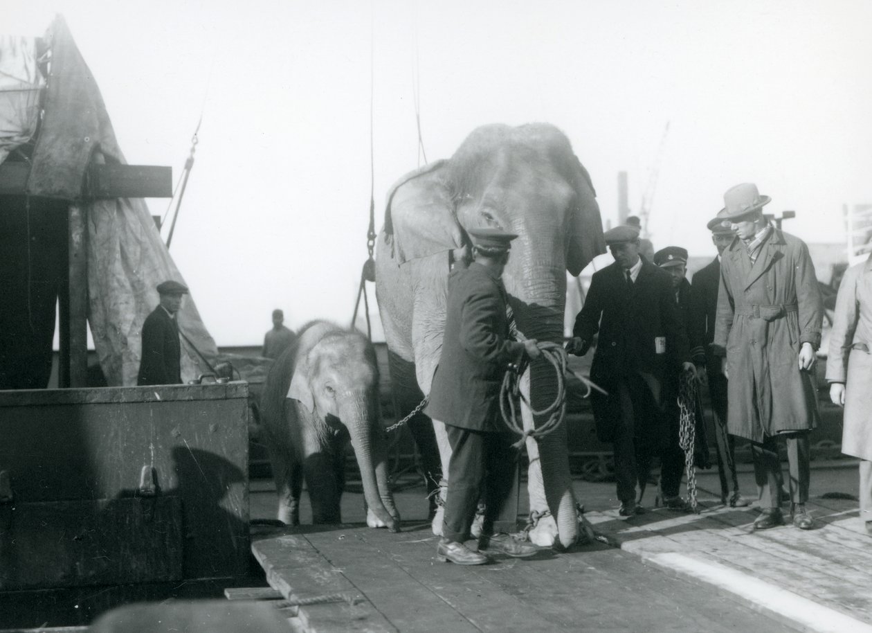 1927