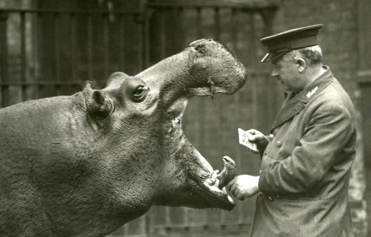 Su aygırı Bobbie, bekçi Ernie Bowman ile birlikte, Londra Hayvanat Bahçesi, 1927 by Frederick William Bond