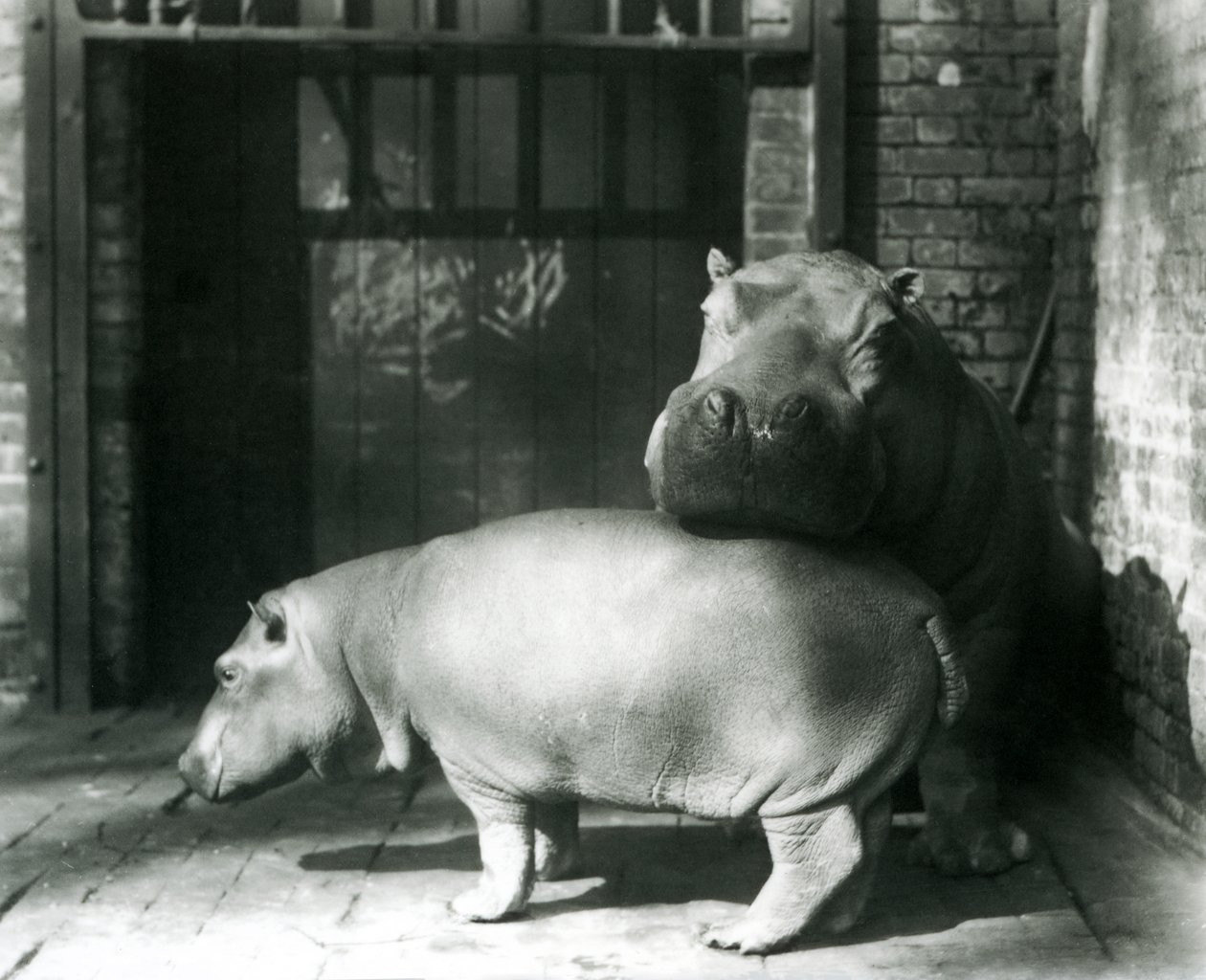 1927