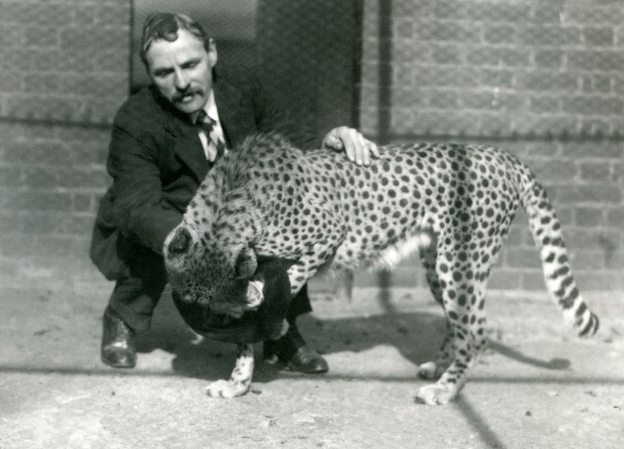 Kaleci Charles Dixon, Ekim 1922