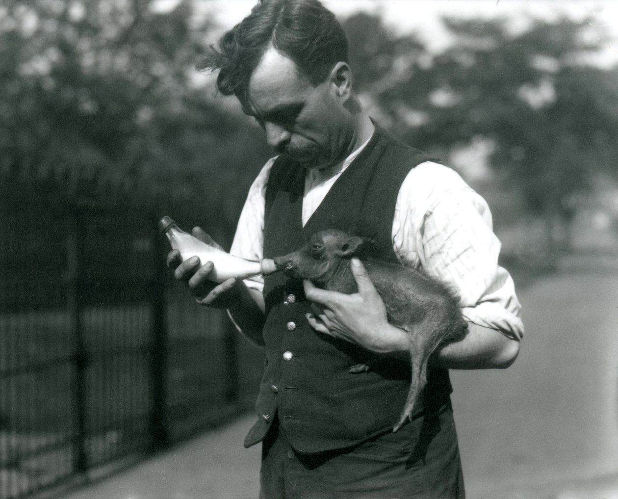 Gardiyan Harry Warwick şişe Ağustos 1922
