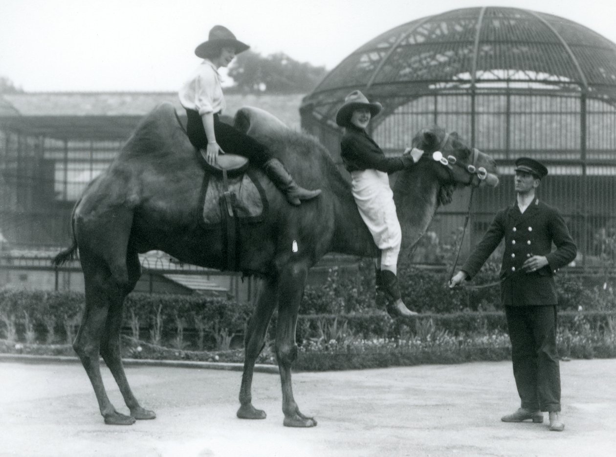 İki Kovboy Kız, 1924