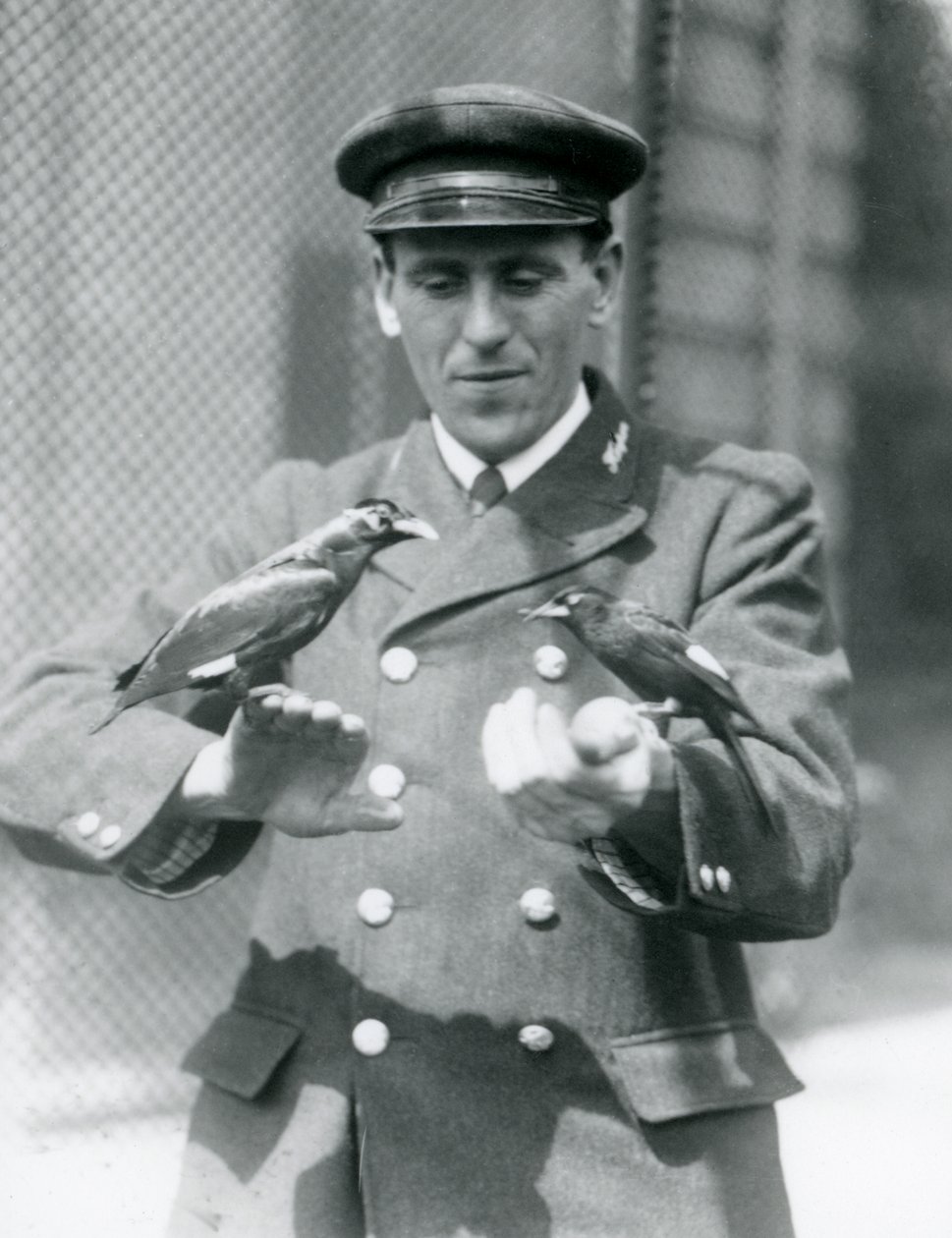 Bekçi Thomas Raggett