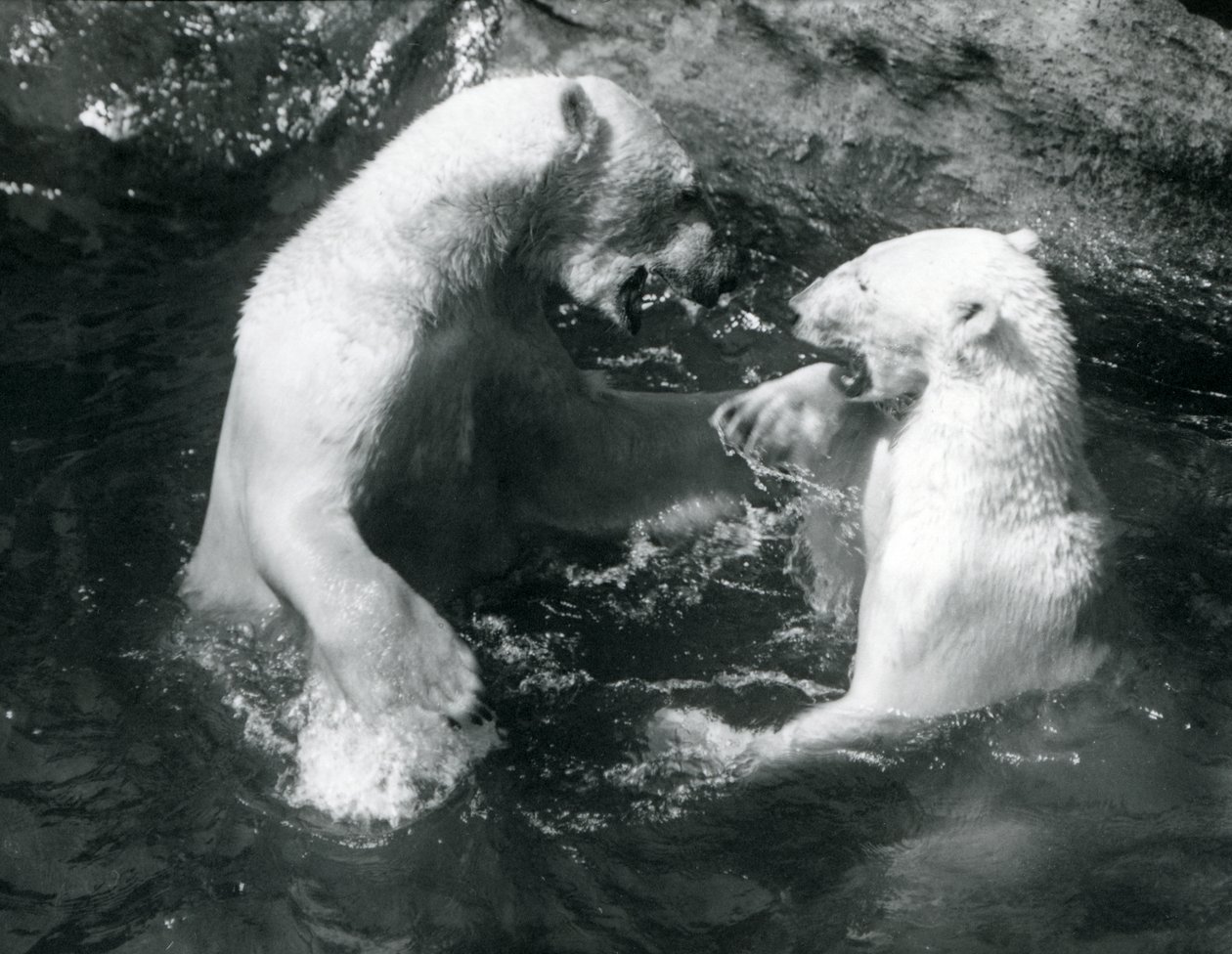 1926
