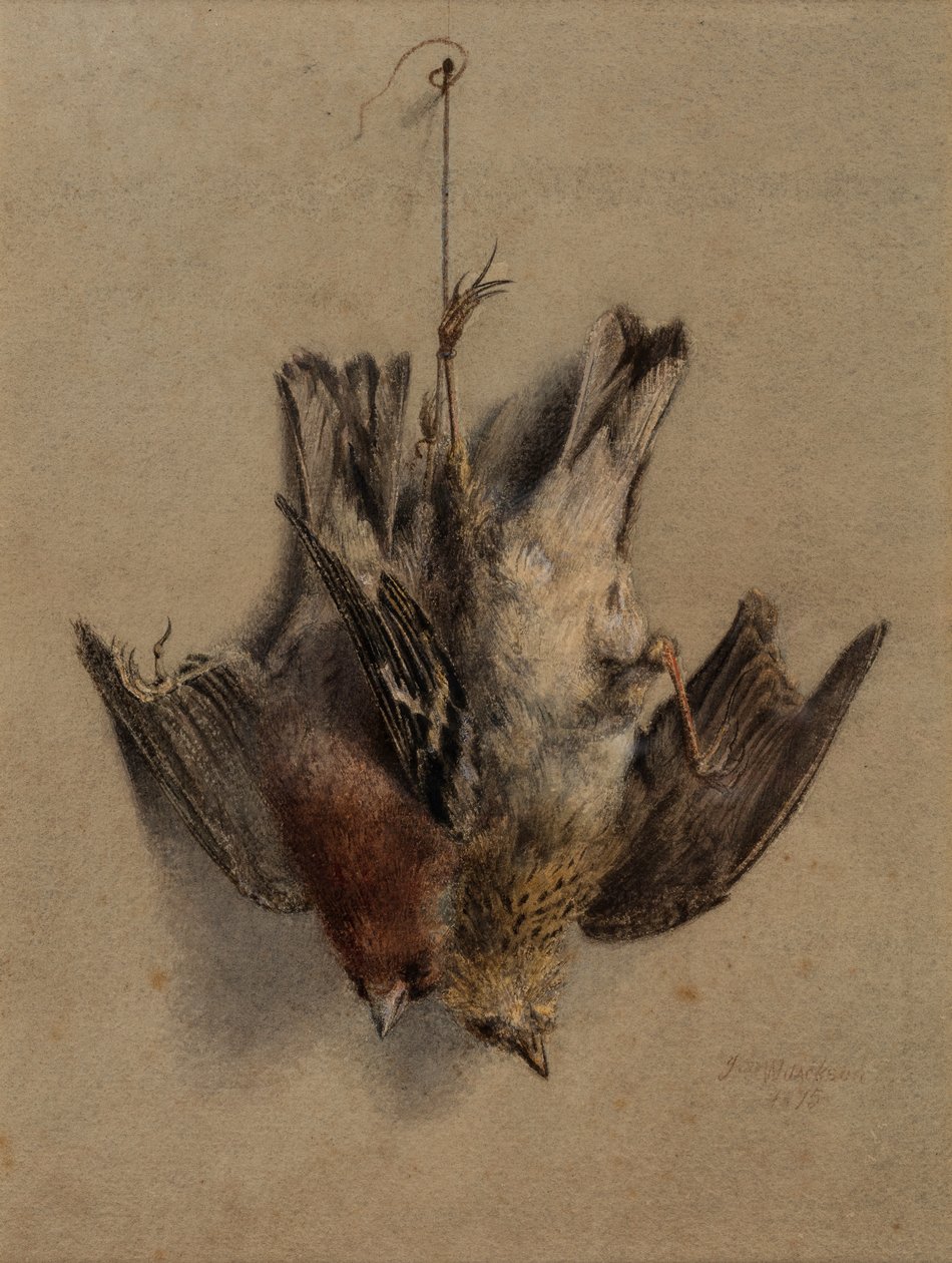  by Frederick William Jackson