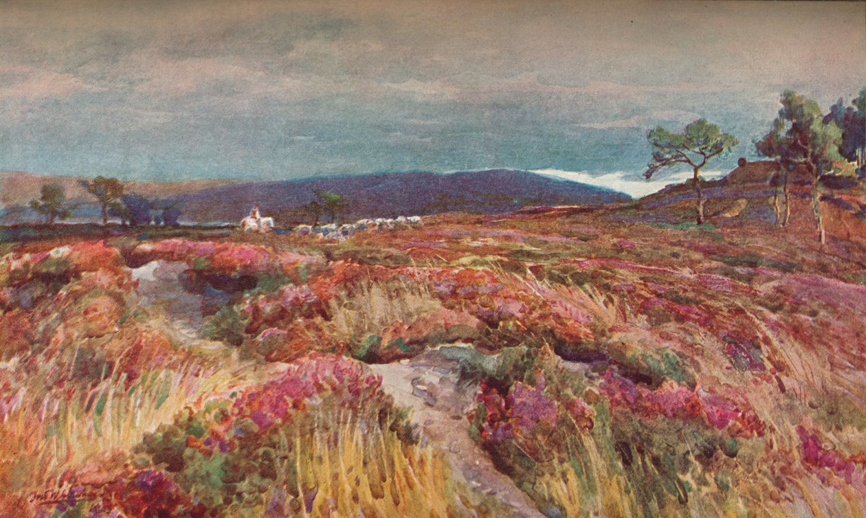 Heath Lytchett Minster Üzerine, c1904 by Frederick William Newton Whitehead
