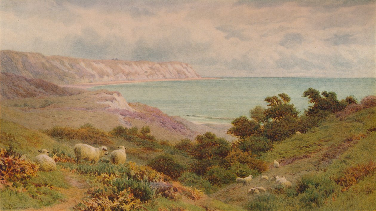 Warren, Folkestone