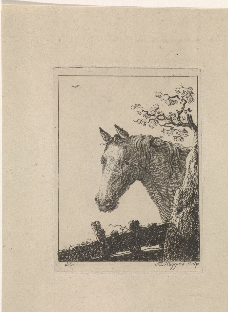 Bir atın başı by Frederik Lodewijk Huygens