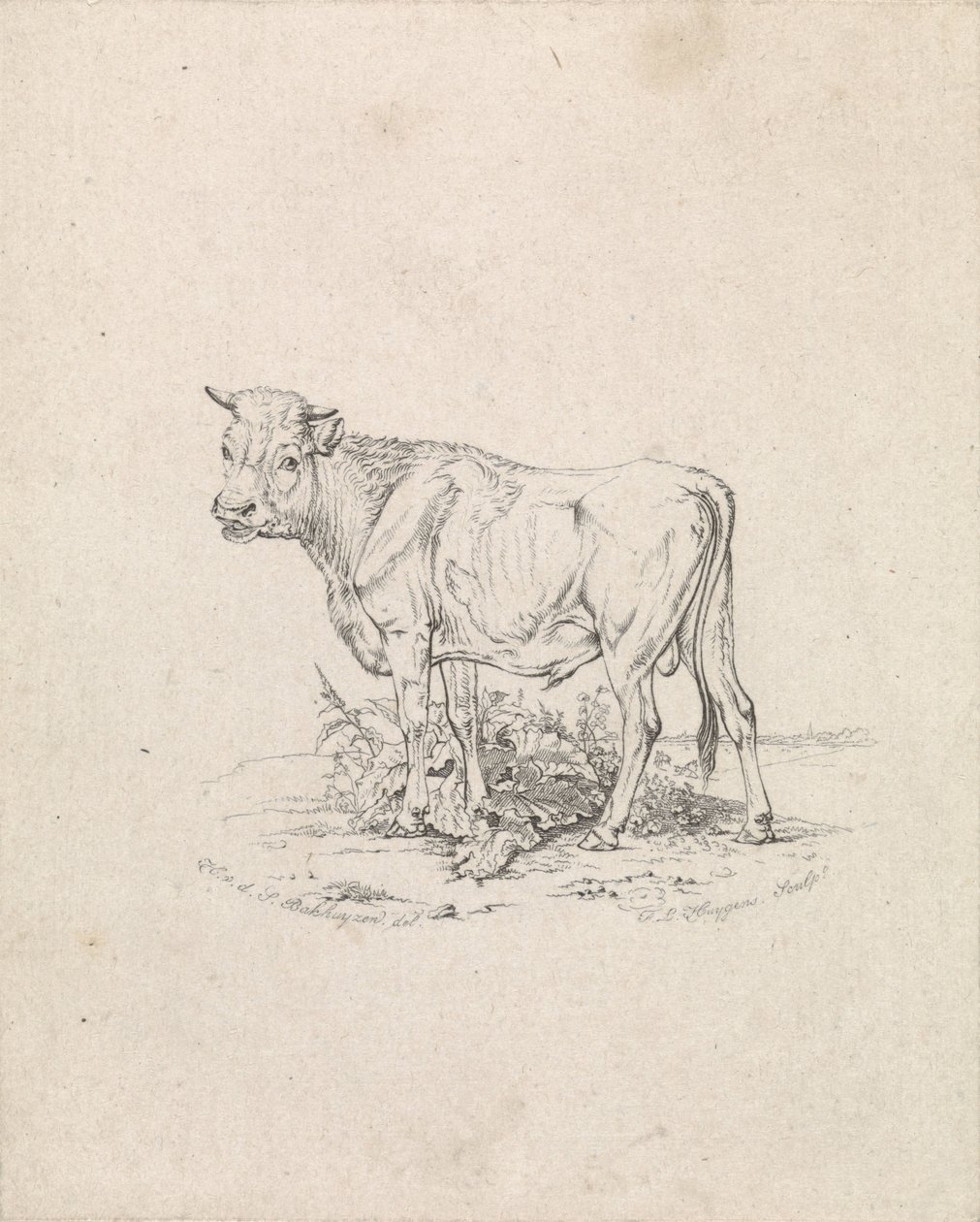 Boğa burcu by Frederik Lodewijk Huygens