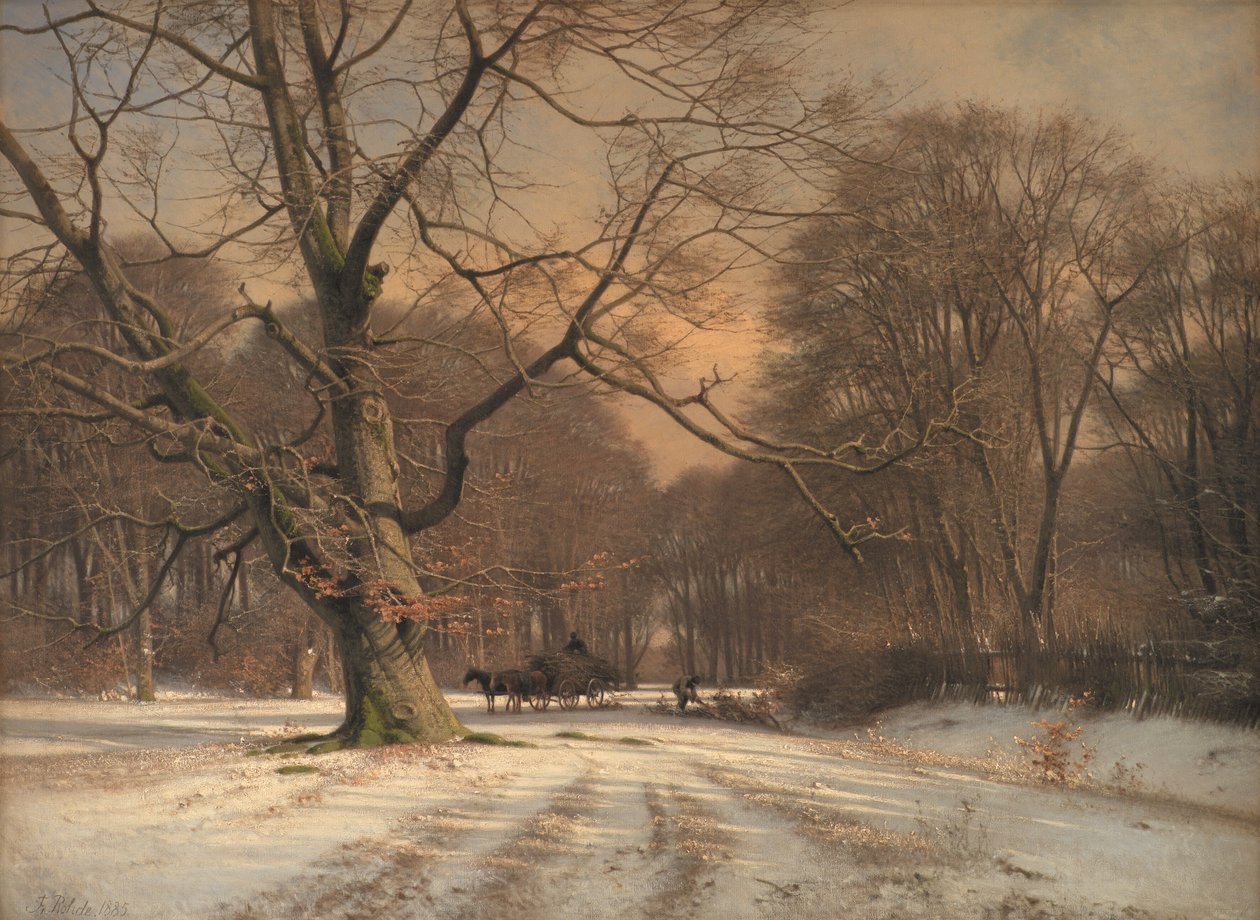 Kış manzarası. Jægersborg Geyik Parkı