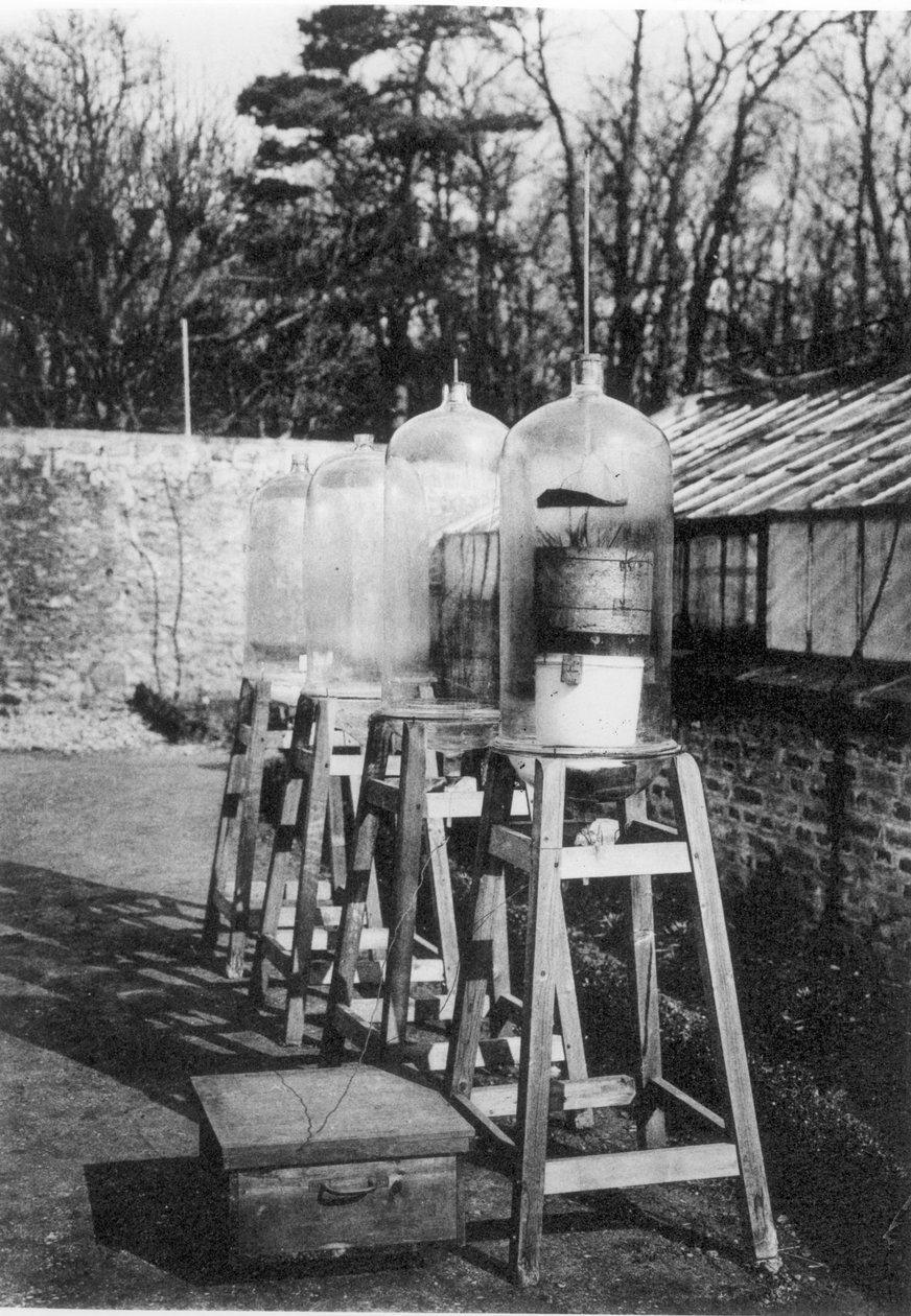Çan kavanozları, 1930