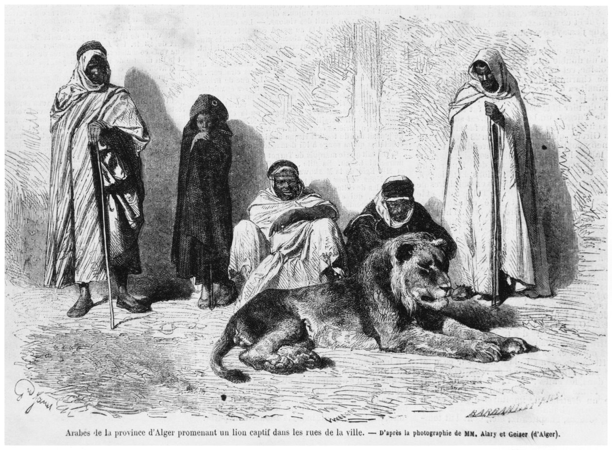 Cezayir eyaletinden bir grup Arap adam, şehrin sokaklarında yakalanmış bir aslanla dolaşırken, Le Monde Illustre, Ocak 1864 by French Photographer