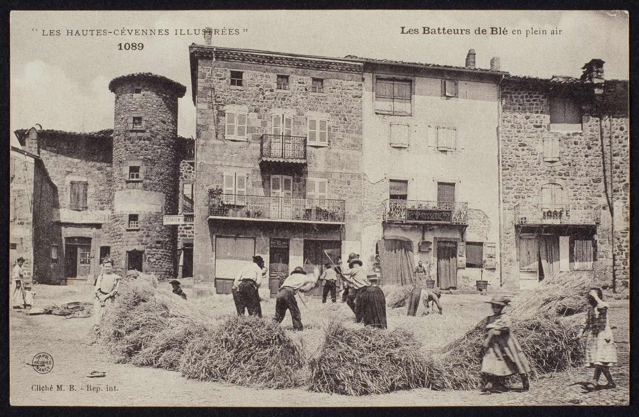 Cevennes