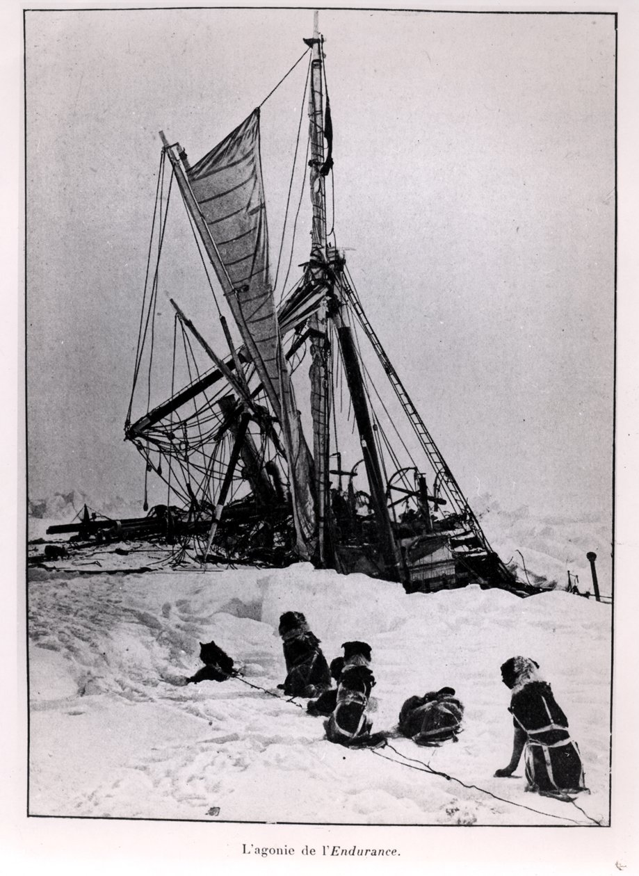 Dayanmanın Acıları, Ernest Shackleton (1874-1922) 1914-1917 tarafından Güney Kutbuna Seferden by French Photographer