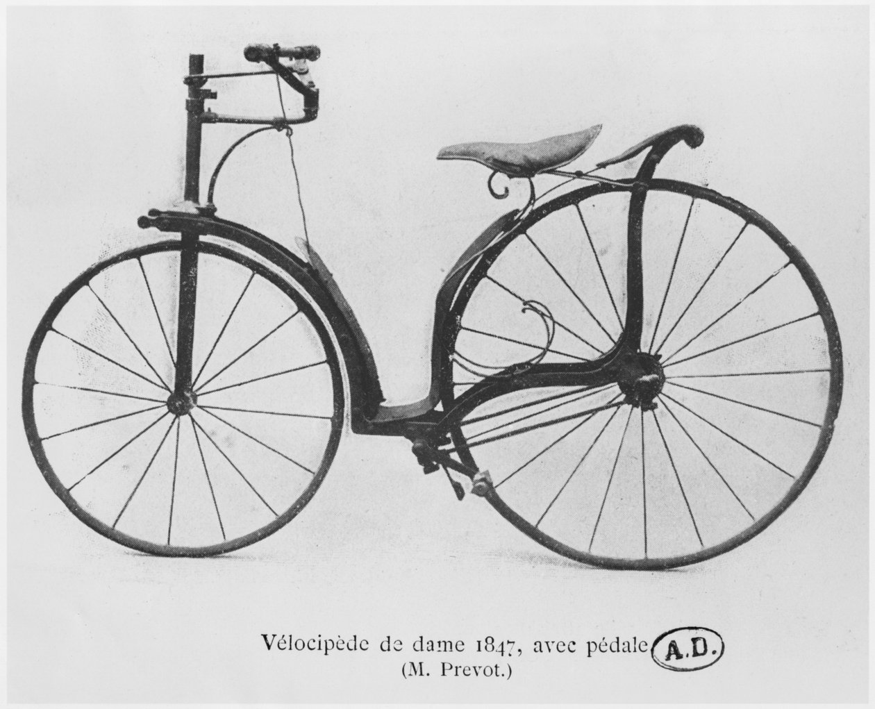 Pedallarla 1847