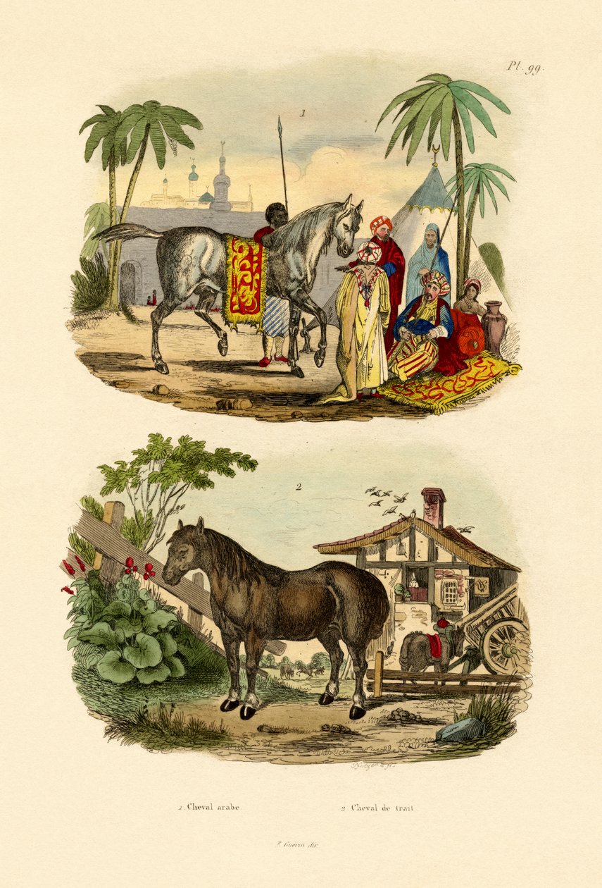 Arap Atı, 1833-39 by French School