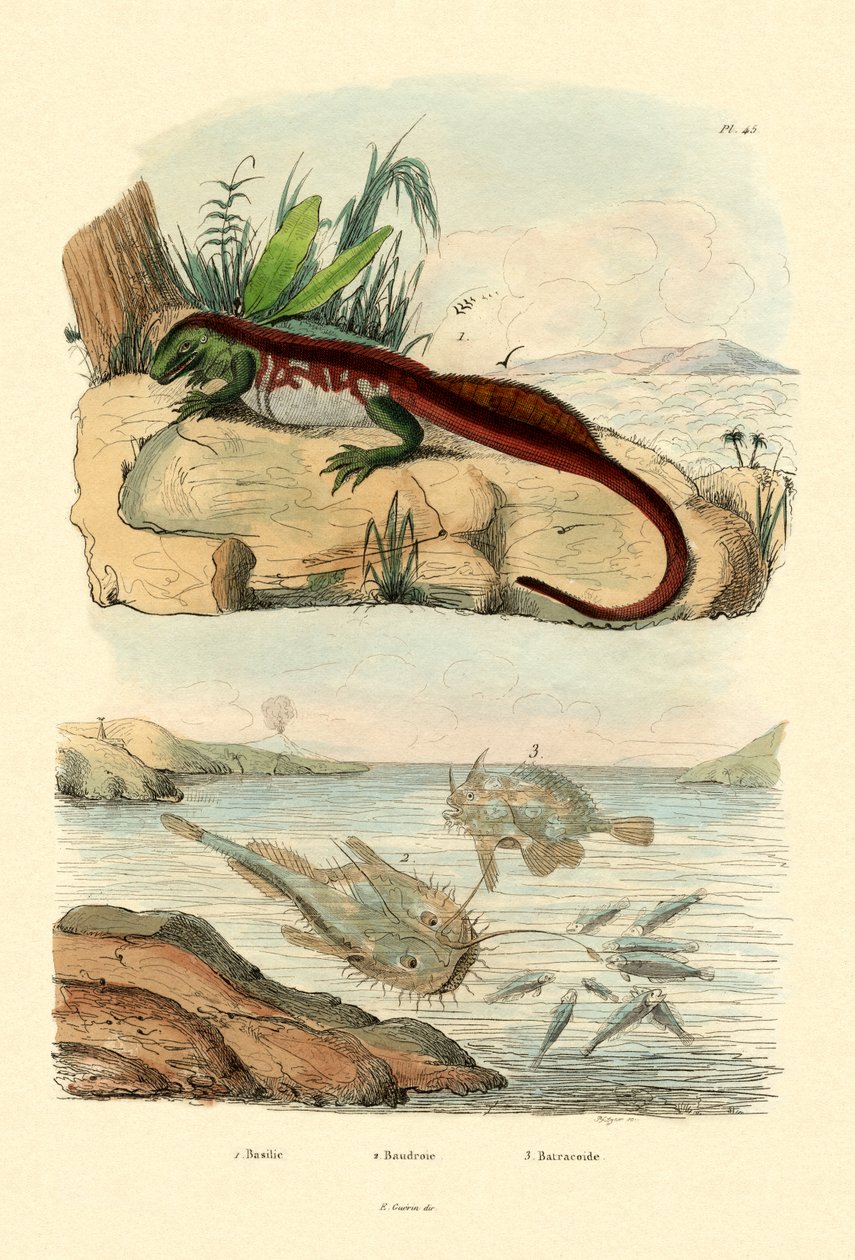 Basilisk, 1833-39 by French School