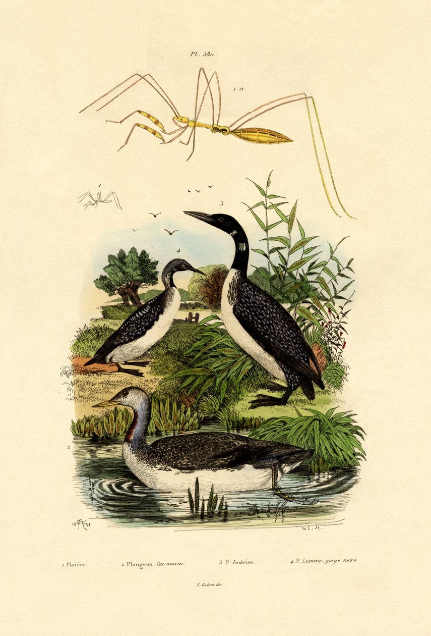 Hata, 1833-39 by French School