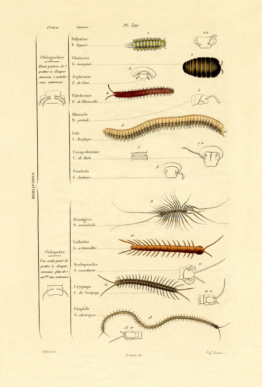 Kırkayak, 1833-39 by French School
