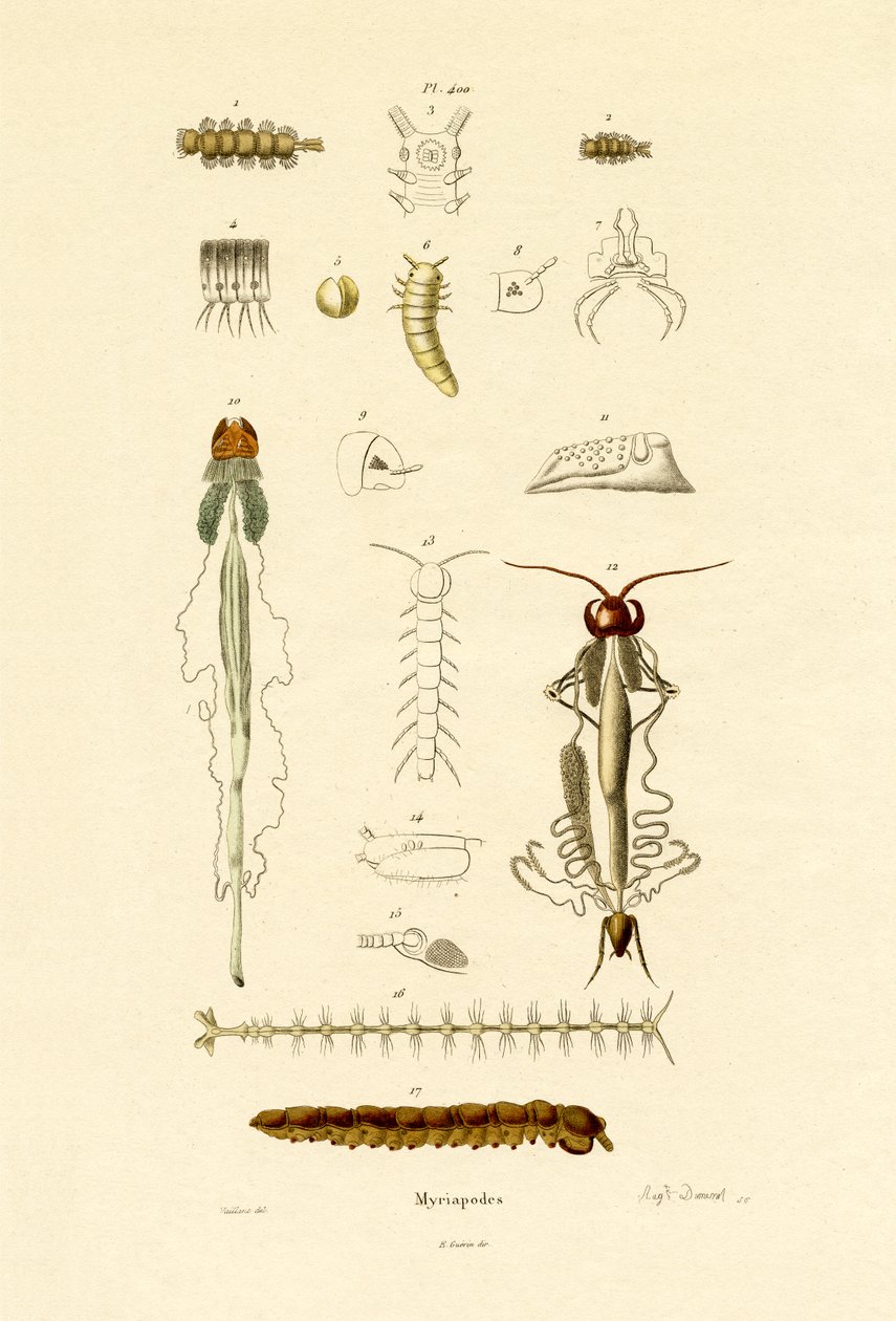 Kırkayak, 1833-39 by French School
