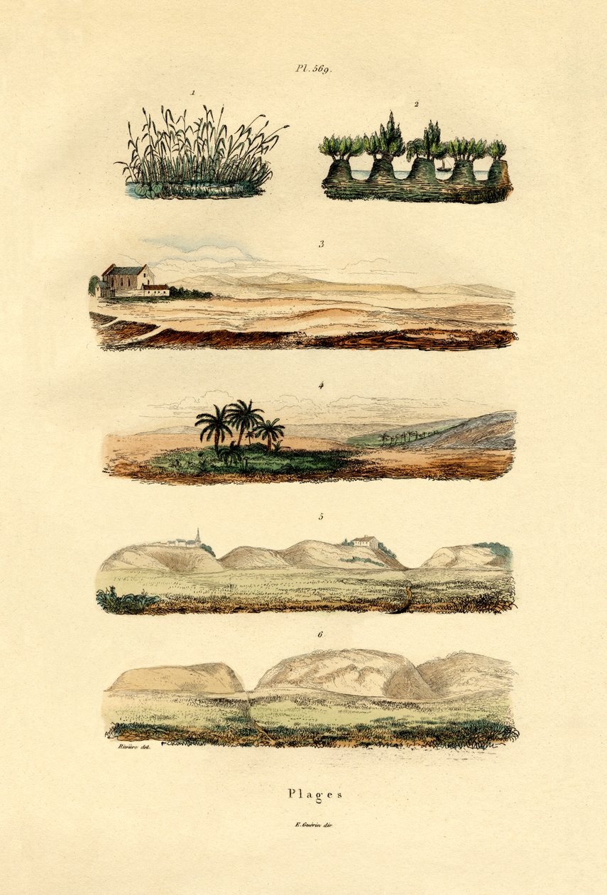 Sahil, 1833-39 by French School