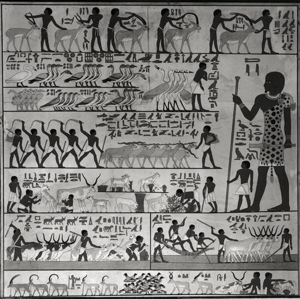 Sakkara