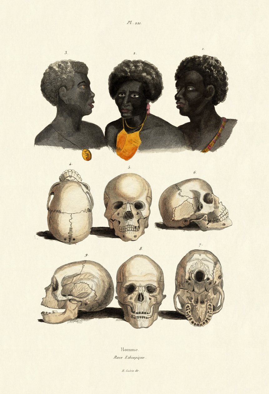 Etiyopyalılar, 1833-39 by French School