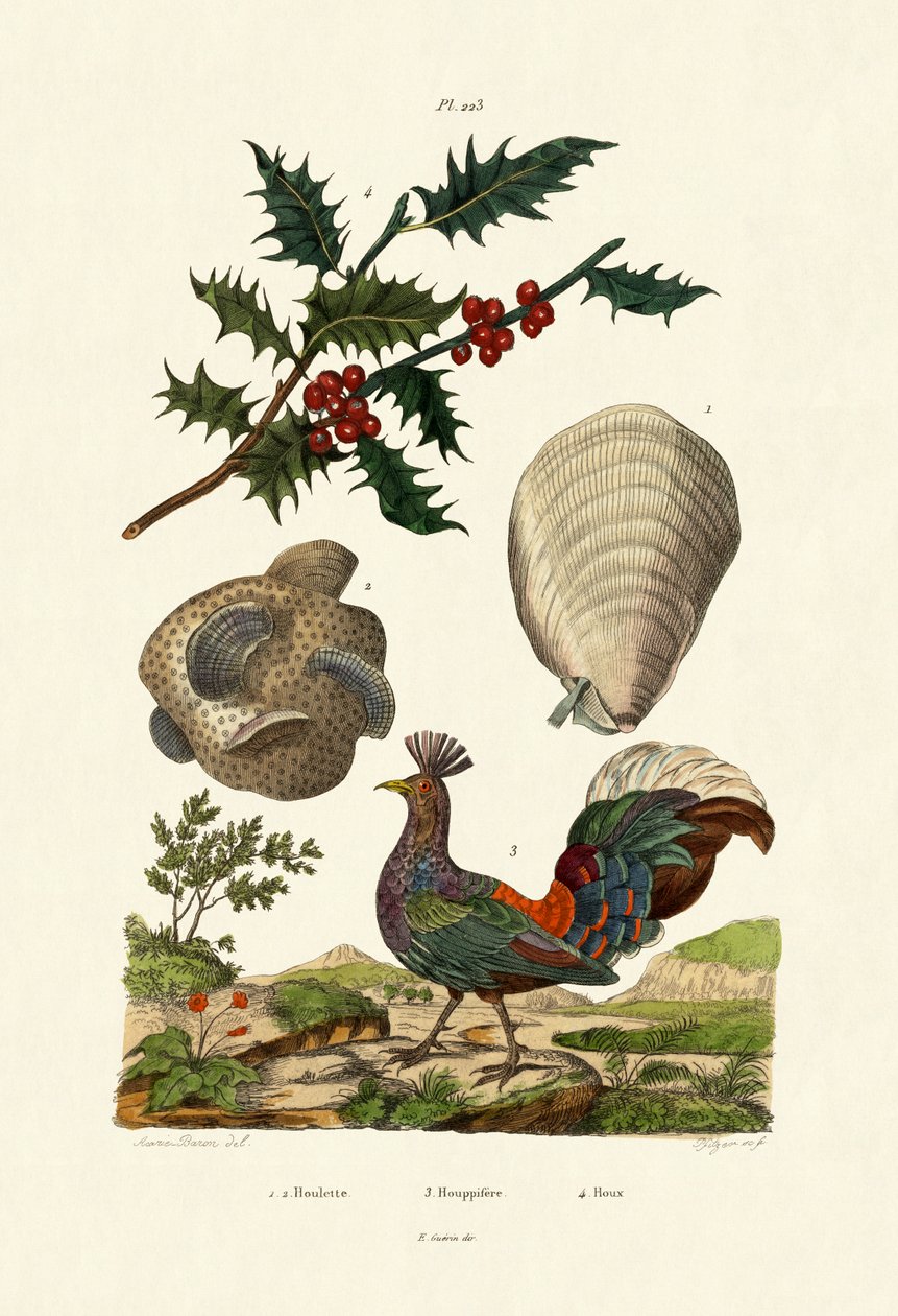Avrupalı Kutsal, 1833-39 by French School