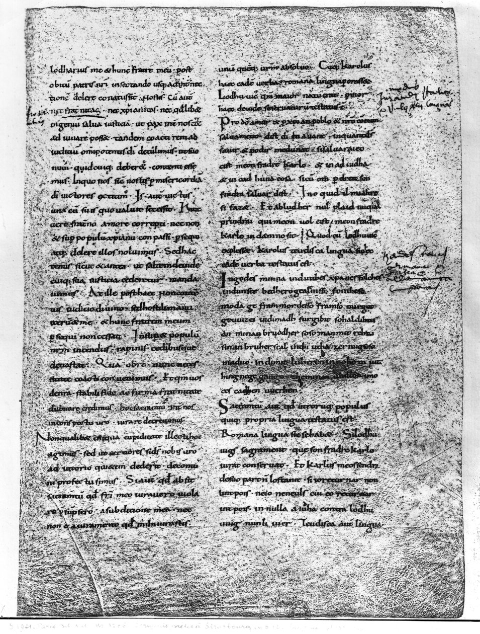 Bayan 9786 fol.135