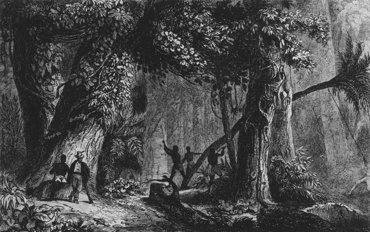 Ferdinand Denis ve Cesar Famine 1839 tarafından 
