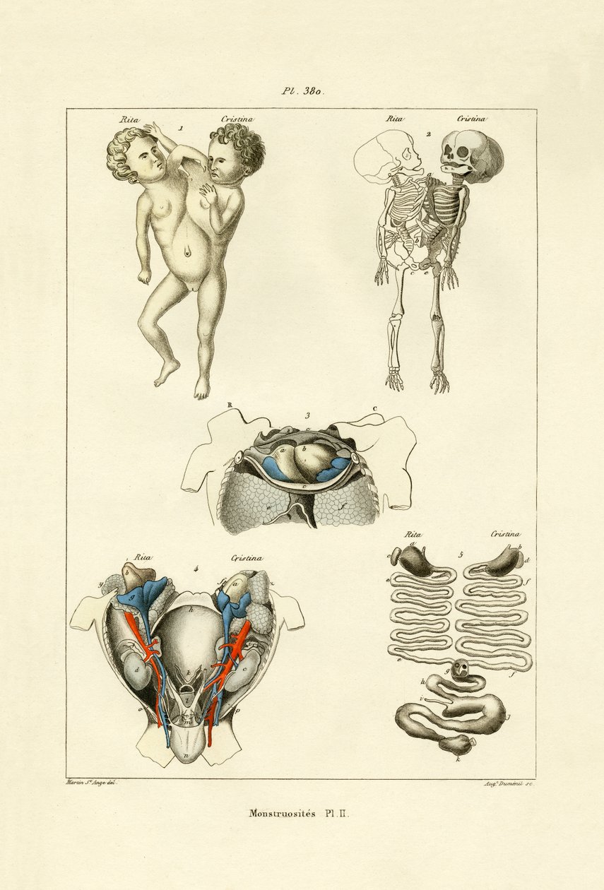 ucube, 1833-39 by French School