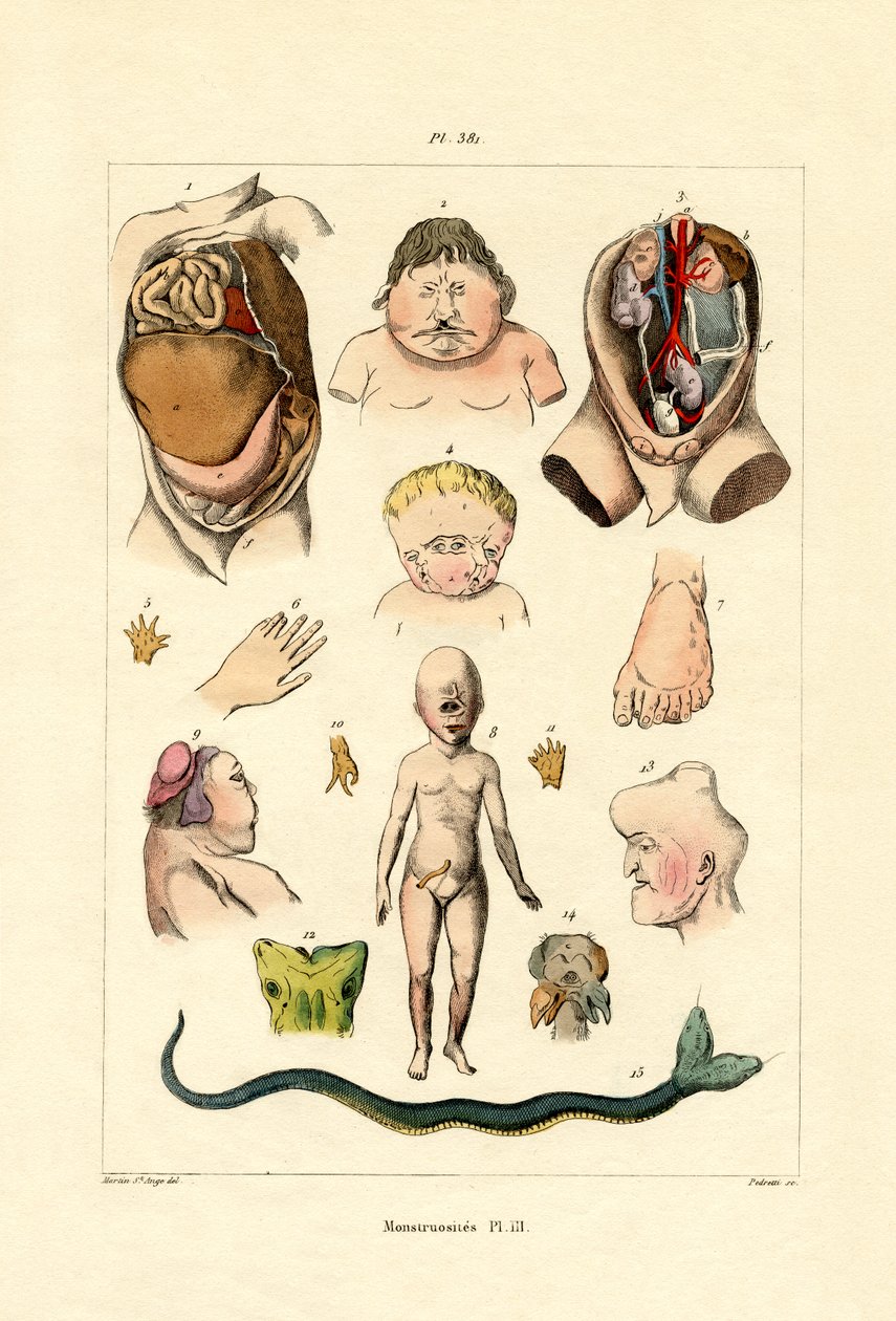 ucube, 1833-39 by French School