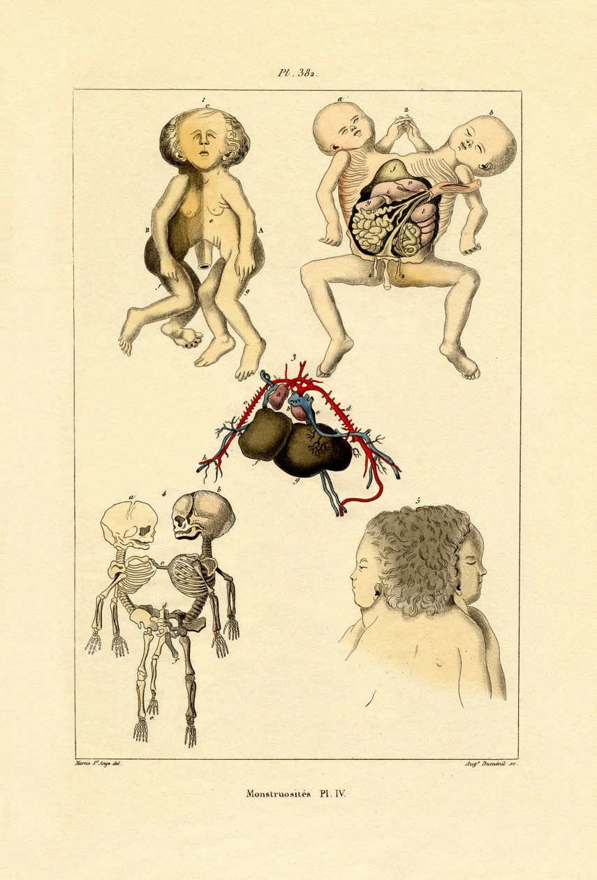 ucube, 1833-39 by French School