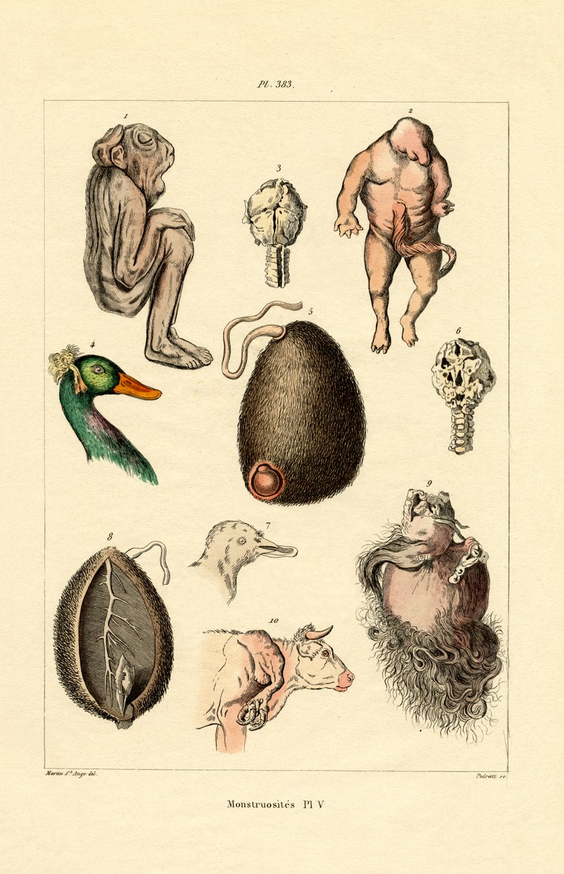 ucube, 1833-39 by French School